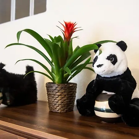 Charm & Character On Historic Rose Street Apartmán