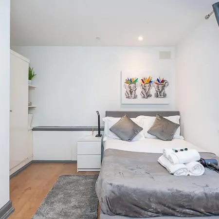 Deluxe In Ediburgh Centre - Excellent Location