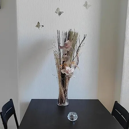 The Butterfly Apartment, * Edinburg