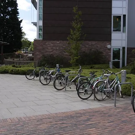 Apartment Summer At The Of