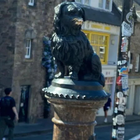 Greyfriars Bobby View Near Castle 아파트