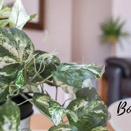 Monge Old Town 2br-1ba, Near Royal Mile By Bonjour Residences 아파트 에든버러