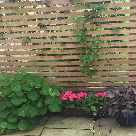 Wardie Garden *