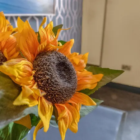 Cosy Modern Centre Flat Apartment Edinburgh