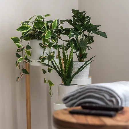 Cosy Roseburn Apartment, - 2 Bedrooms, Free Parking *