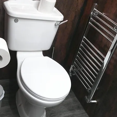 Ivy- Braveheart Gasthuis