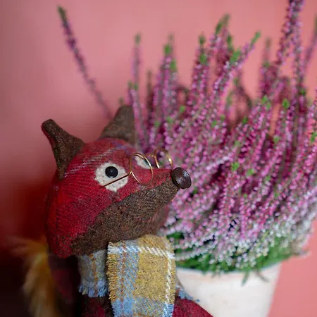 Netherbrae Проживание в семье *