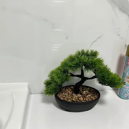 Charming Away From Home! Apartment