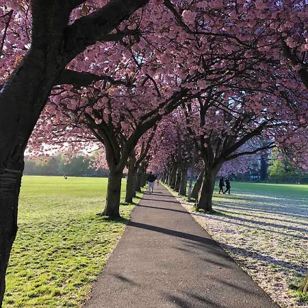 Modern 2 Bedroom In Centre شقة إدنبرة