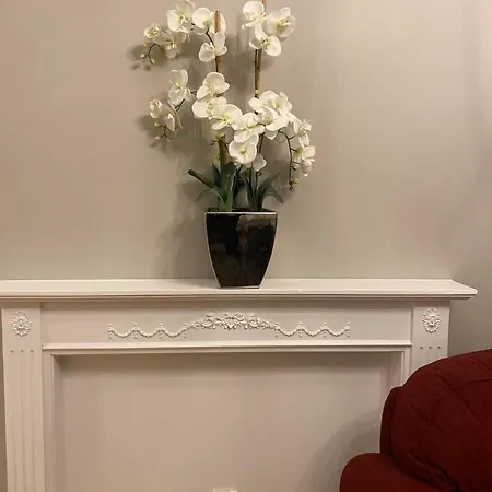 Modern New Town Flat