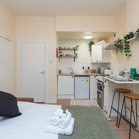 Cosy 1 Bed Flat Near City Centre Apartmán Edinburgh