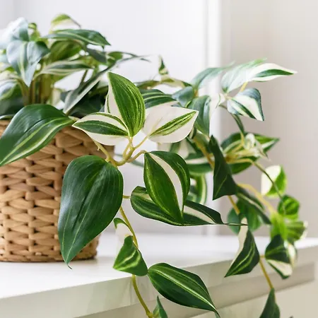 Luxury - Portobello Apartman Edinburgh