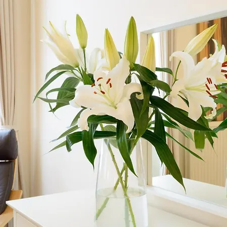 Beautiful Georgian 2 Bedroom Flat Daire Edinburgh