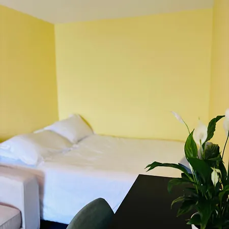 Entire Flat In Close To Center Appartamento