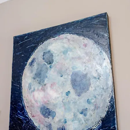 Craig S Lair Boho Jungle