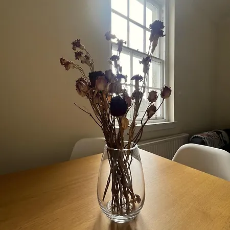 Apartment Centre - George Square