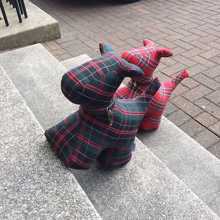 Vendégház The Ben Doran 4*