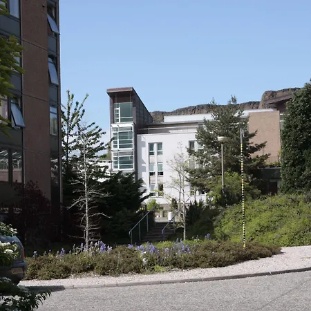 Summer At The Of Apartment