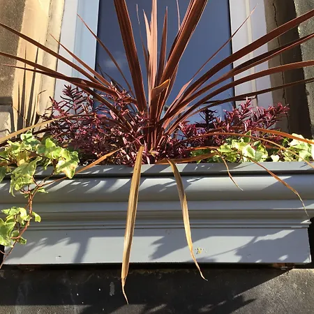 Casa de hóspedes Martins Edimburgo