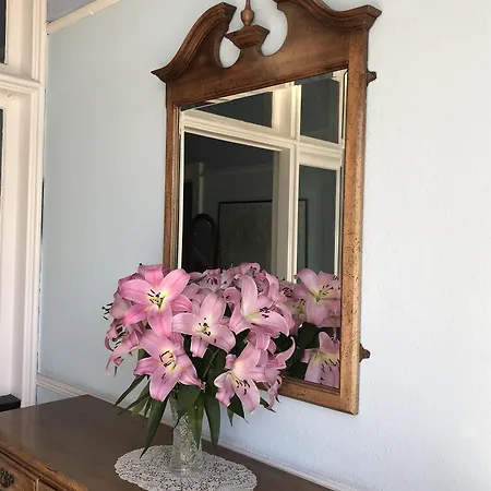 Dorstan House 3* Εδιμβούργο