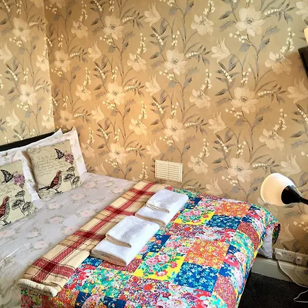 16 ピルリッグ 3*