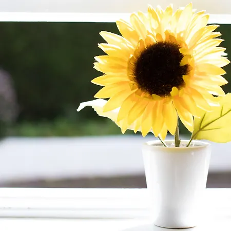 Justb Affittacamere Edimburgo