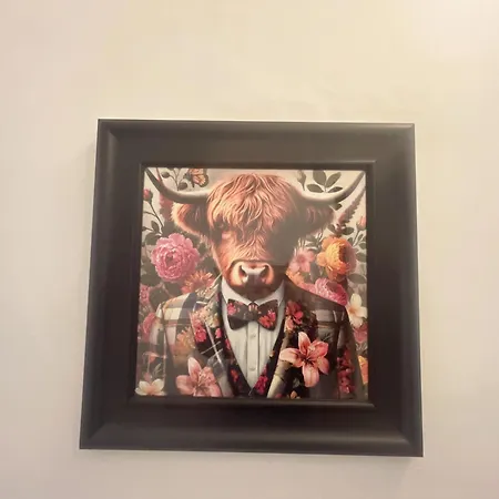 Modern דירה אדינבורו