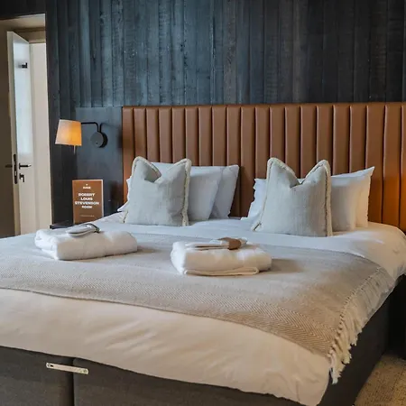 Albergue Code - The Court, Edimburgo