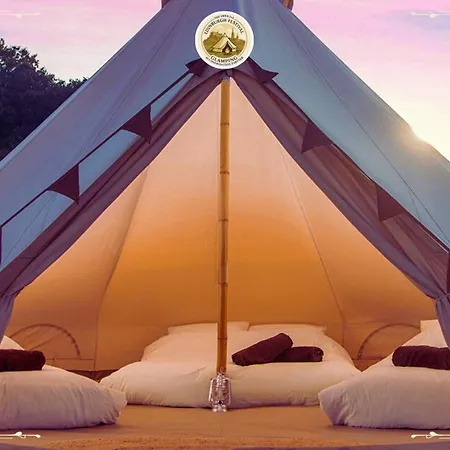 Festival Glamping By Social Camping Edinburg