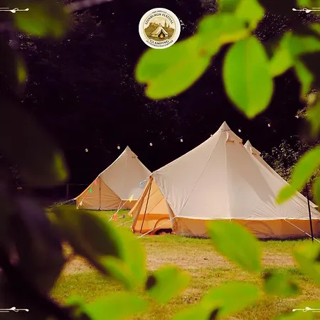 Camping Festival Glamping By Social Edinburg