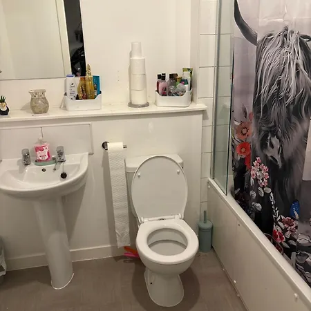 In Shared Flat ホームステイ