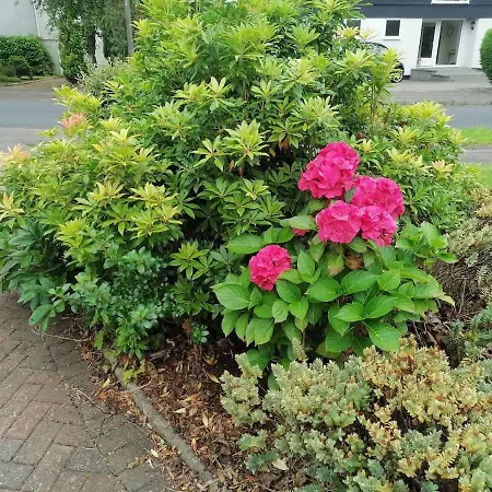 King Size Bed Direct Bus To Center Silver Prázdninový dům Edinburgh