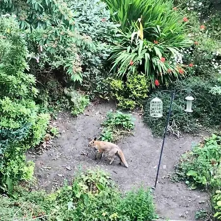 Tranquil 2 Bed Flat, Free Parking, Near Murrayfield & Centre アパート エディンバラ