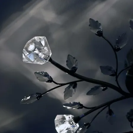 Hotel The Parliament House