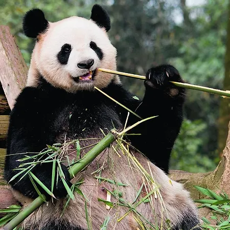 Szálloda Km Edinburgh