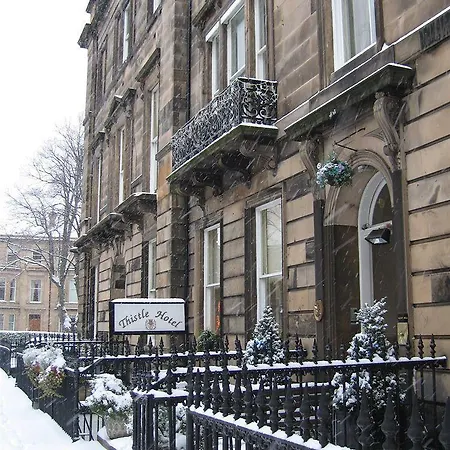 Thistle 3*