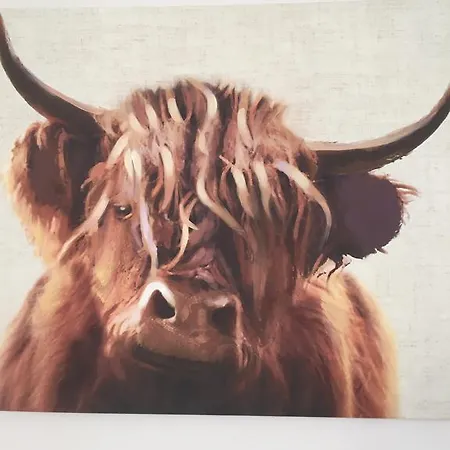 Wilton Road Alojamento de Acomodação e Pequeno-almoço *