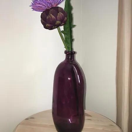 The Abbeyhill Bonnie Thistle Appartement *