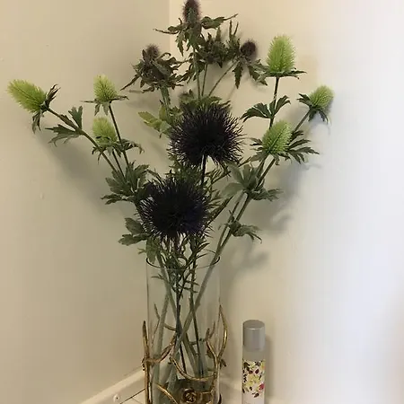 The Bothwell Bonnie Thistle Lägenhet