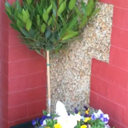 Almond House Edinburgh