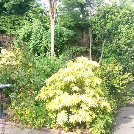 Almond House Edinburgh