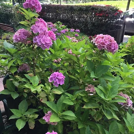 Hermitage 3* Edimburgo