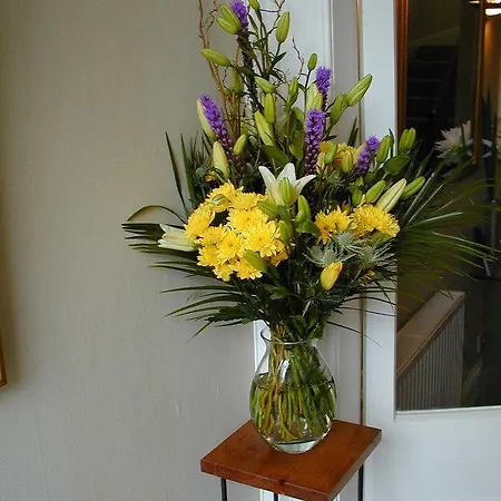 Kew House 5* Edinburg