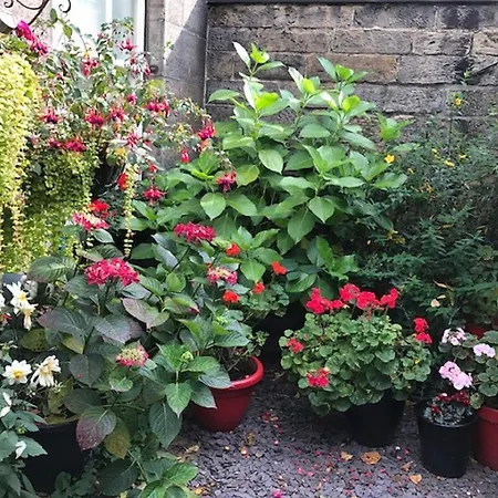 22 Chester Street Edinburgh