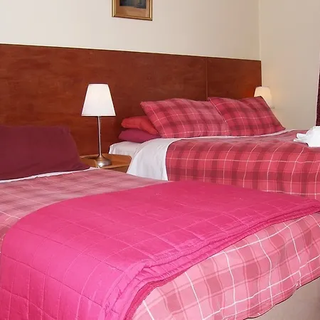 Gasthuis Ivy- Braveheart