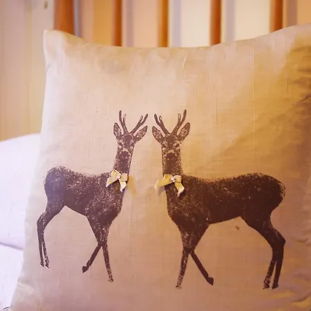 Cluaran House 招待所 4*