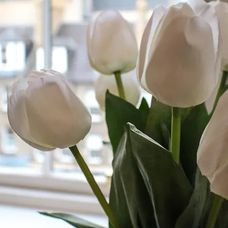 爱丁堡城堡公寓酒店