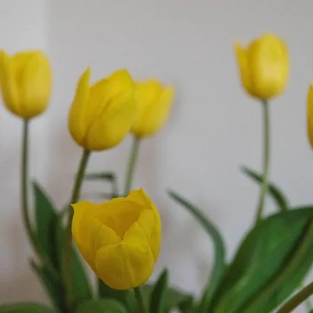 Appartamento South Groathill - Lovely 2 Bed With Castle View