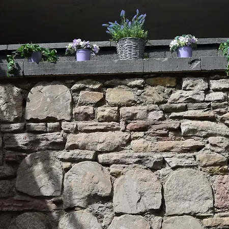 国际宾馆 酒店 4*