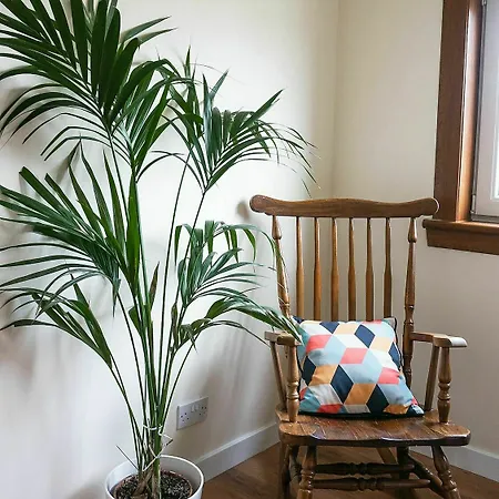 Newly Refurbished Flat Free Parking Wifi Appartement Édimbourg